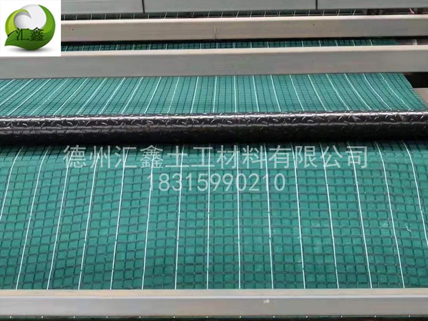 抗冲生物毯