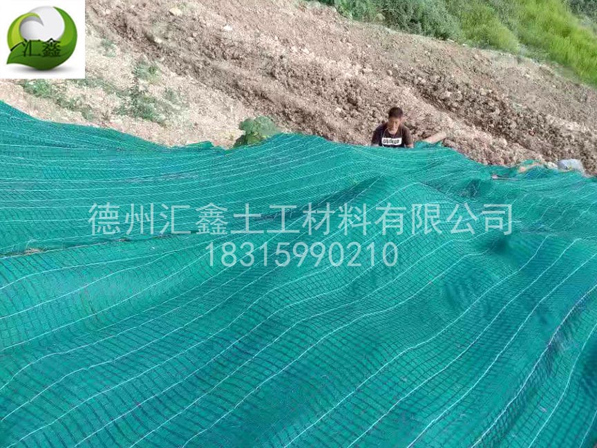 抗冲生物毯