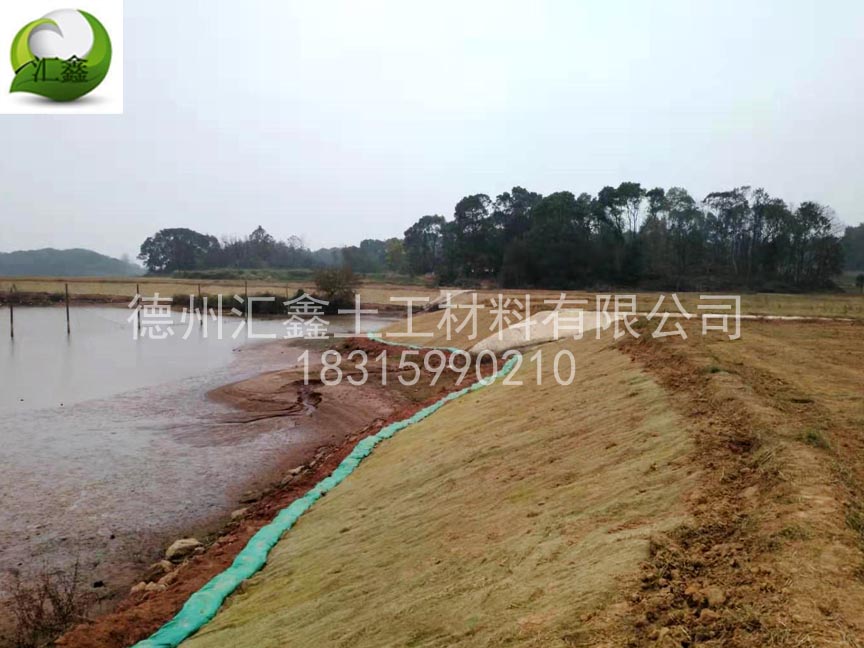 吉安万安县韶口乡河道护坡(图1)
