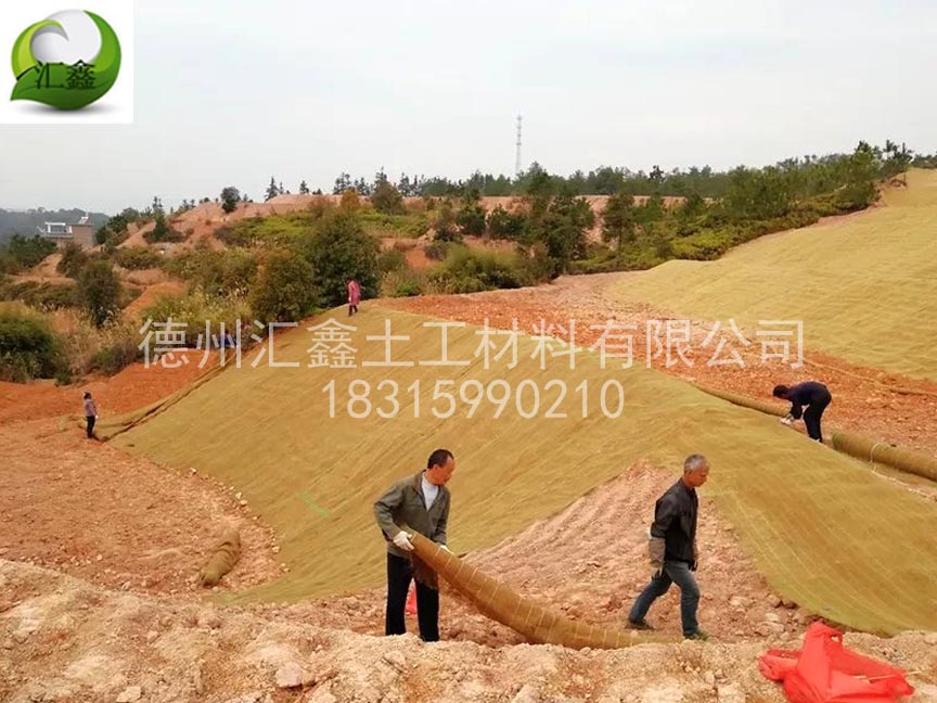 护坡生态毯应该如何选择(图2)