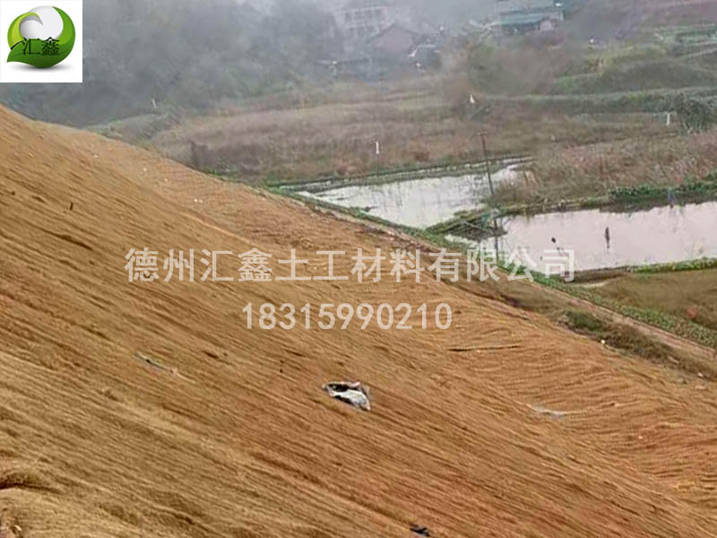护坡草毯为什么现在这么流行(图1)