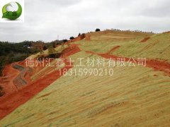讲一下护坡生态毯的作用