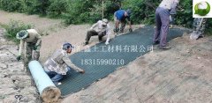 抗冲生物毯的护坡特点