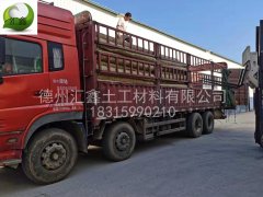 延庆高山滑雪场山体护坡采购一体化草毯45000平米