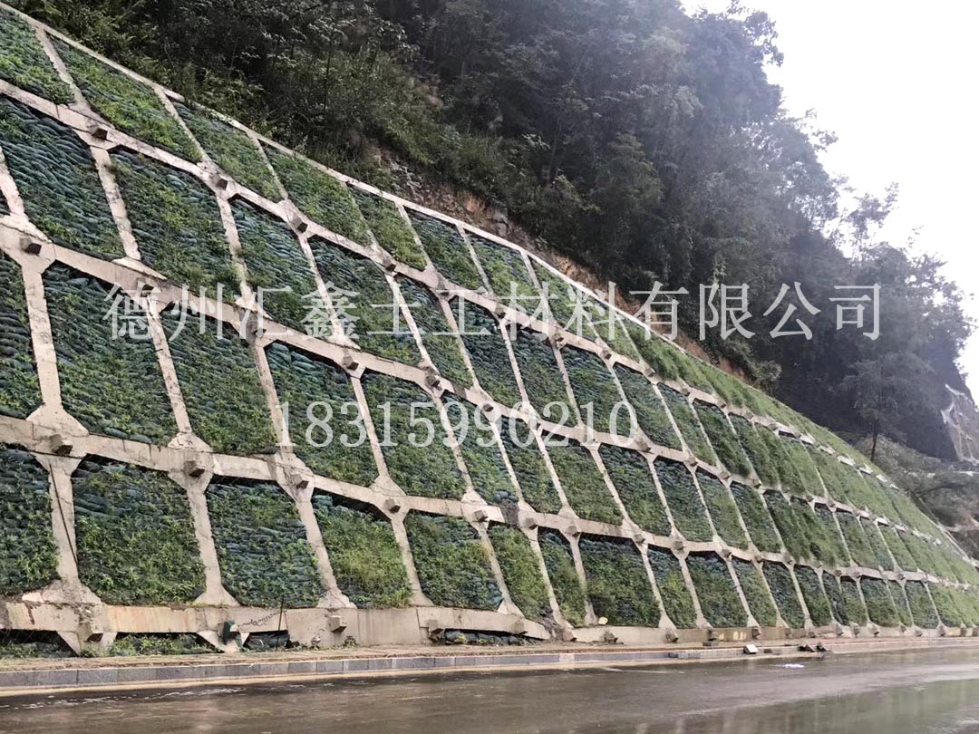 生态袋与传统边坡处理方式对比(图2)