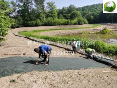 抗冲生物毯在河道护坡中应用的特点