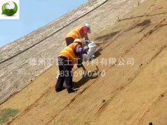 护坡生态毯护坡绿化一毯多用