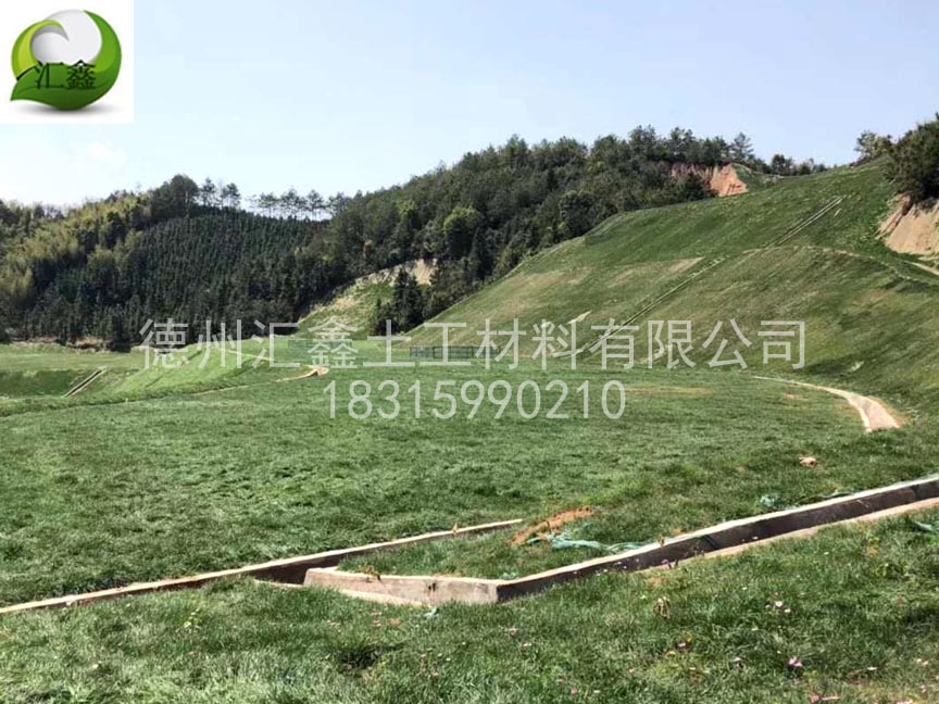 护坡生态毯应用于城市道路边坡(图2)