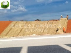 2万平米一体化草毯发往安徽淮南高速公路护坡项