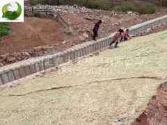 护坡生态毯在高速公路护坡工程的应用