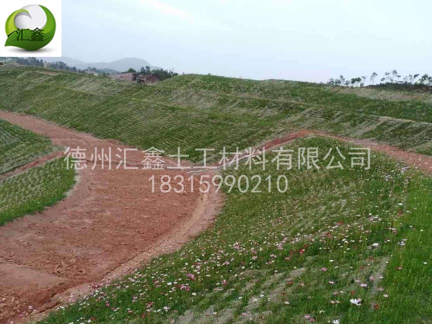 护坡草毯防止水土流失提高种子成活率(图3)