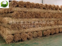 吉林长春邓总订购了60000平方米一体化草毯库存发